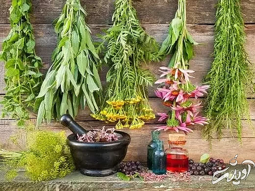 با این گیاهان (بی اشتهایی عصبی) را درمان کنید